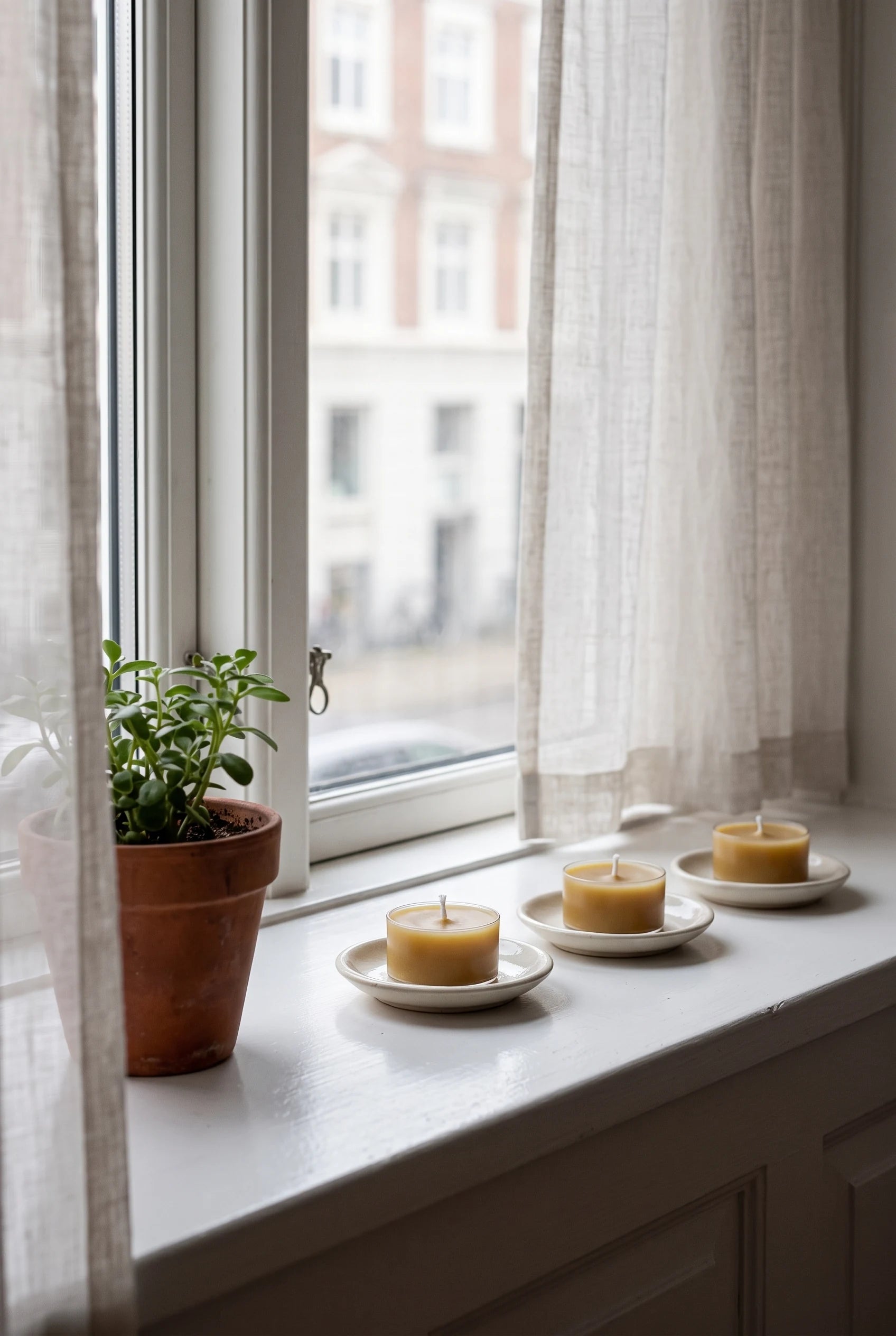 Den klassiske danske vindueskarm mod gaden — tre gyldne fyrfadslys på række på små keramikfade ved siden af en potteplante.