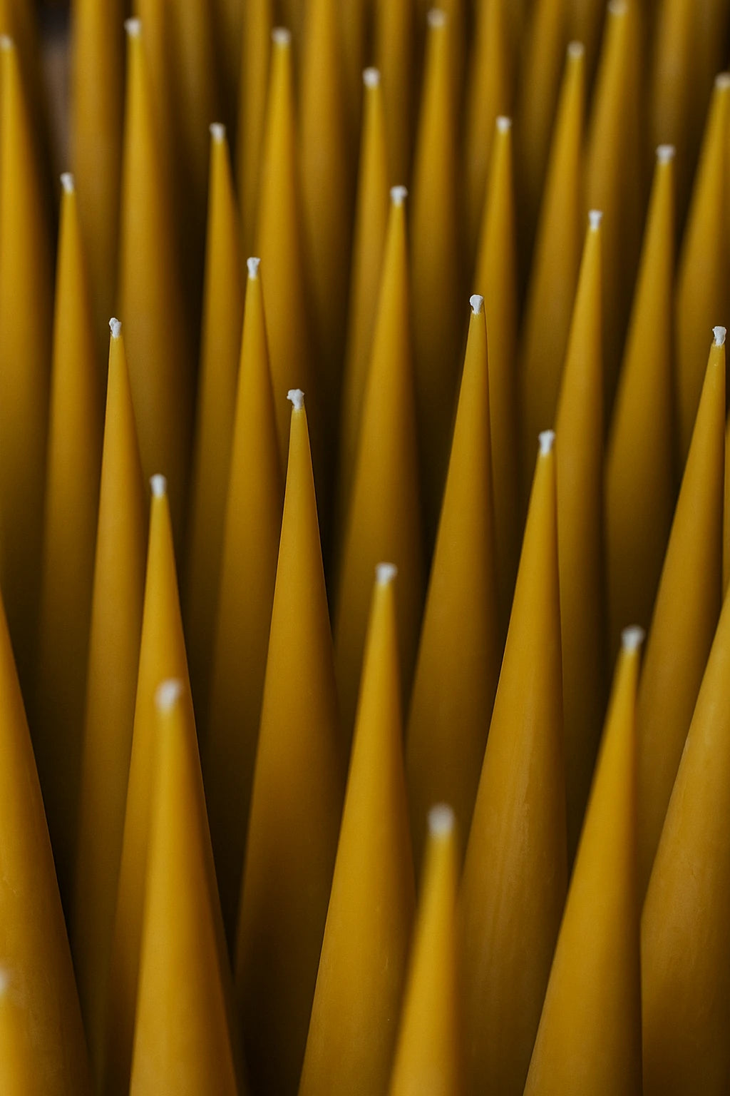 Flere Grankoglen keglelys i gylden bivoks fra Persillo – håndlavede naturlige bivokslys med 85 timers brændetid.